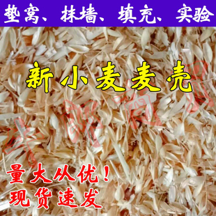 稻糠壳麦糠新麦壳麦子皮秸秆麦芒可入药装修装饰培育做枕头饲料肥