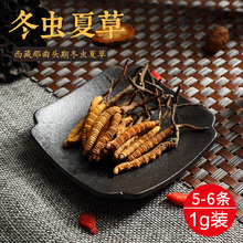 西藏那曲正品冬虫夏草5~6根/克正宗虫草干货1g散礼盒装天然新鲜