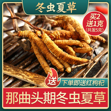 西藏那曲冬虫夏草正品5~6根/克正宗野生虫草干货2g散礼盒装新鲜