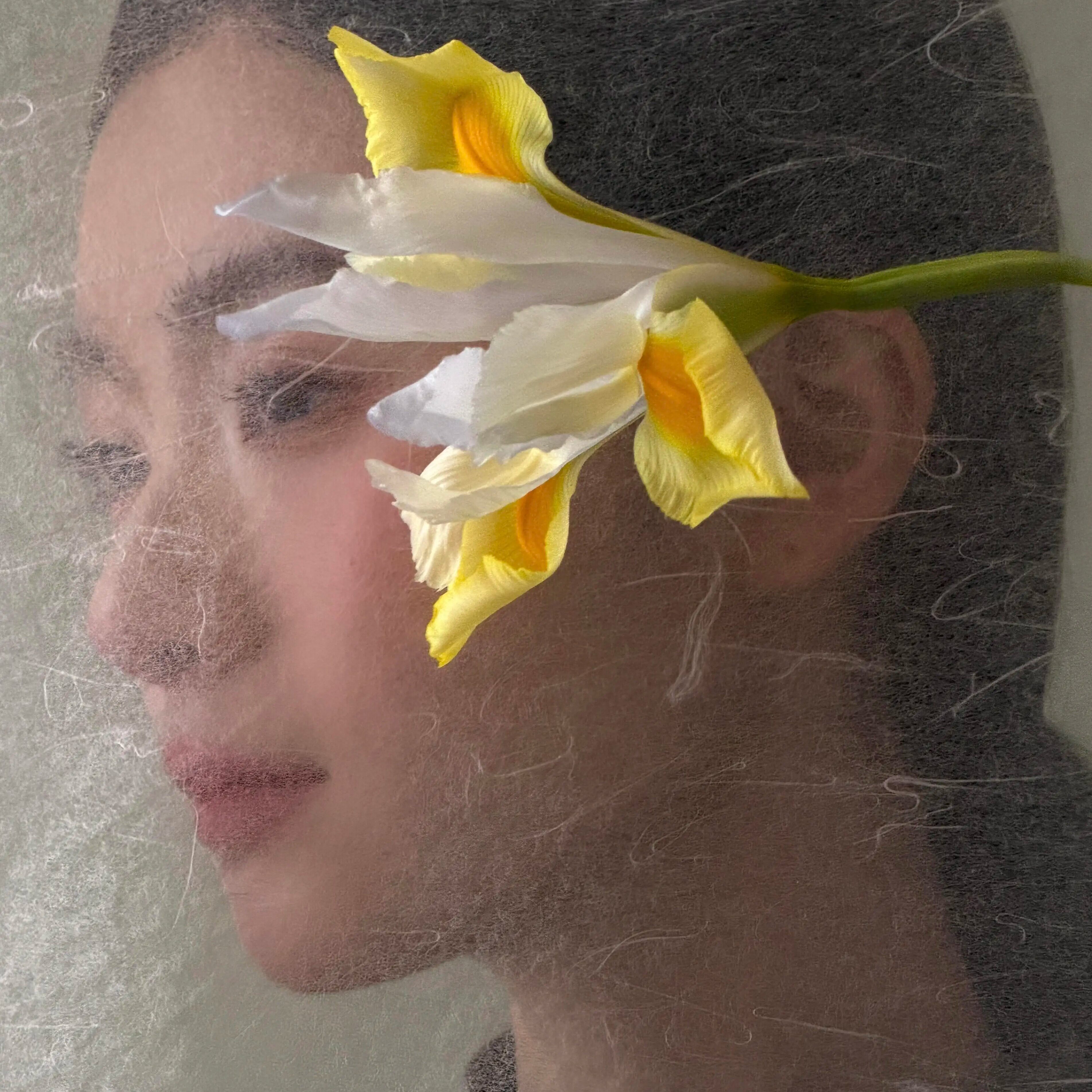 氛围朦胧感新中式冰裂纹蝉衣宣纸背景布东方美人旗袍感拍照道具