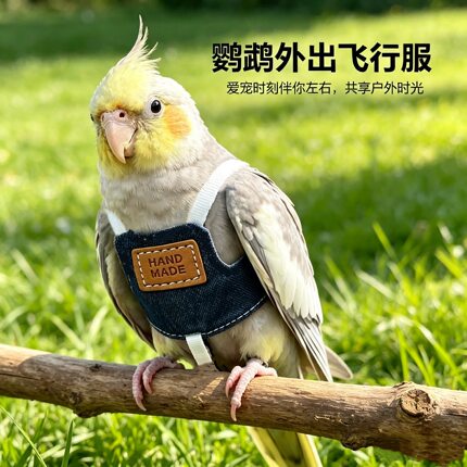 鹦鹉衣服背心式牵引绳背带款遛鸟放飞绳虎皮牡丹牵引绳外出飞行服