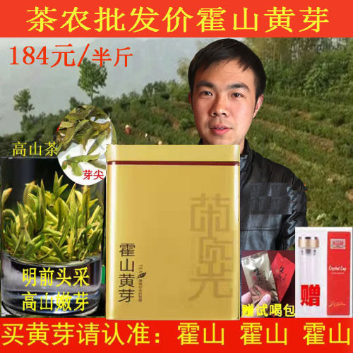 黄茶乌米尖正宗霍山黄芽2026新茶明前黄芽250g罐装茶农直销茶叶