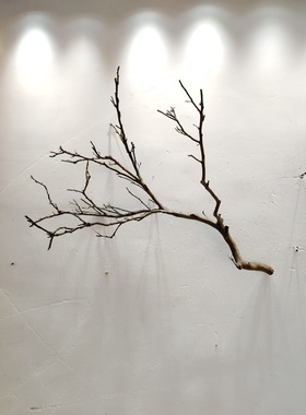 吊灯干枝分枝干树枝装饰树干枯枝室内天花板挂灯插花挂件舞台摆件