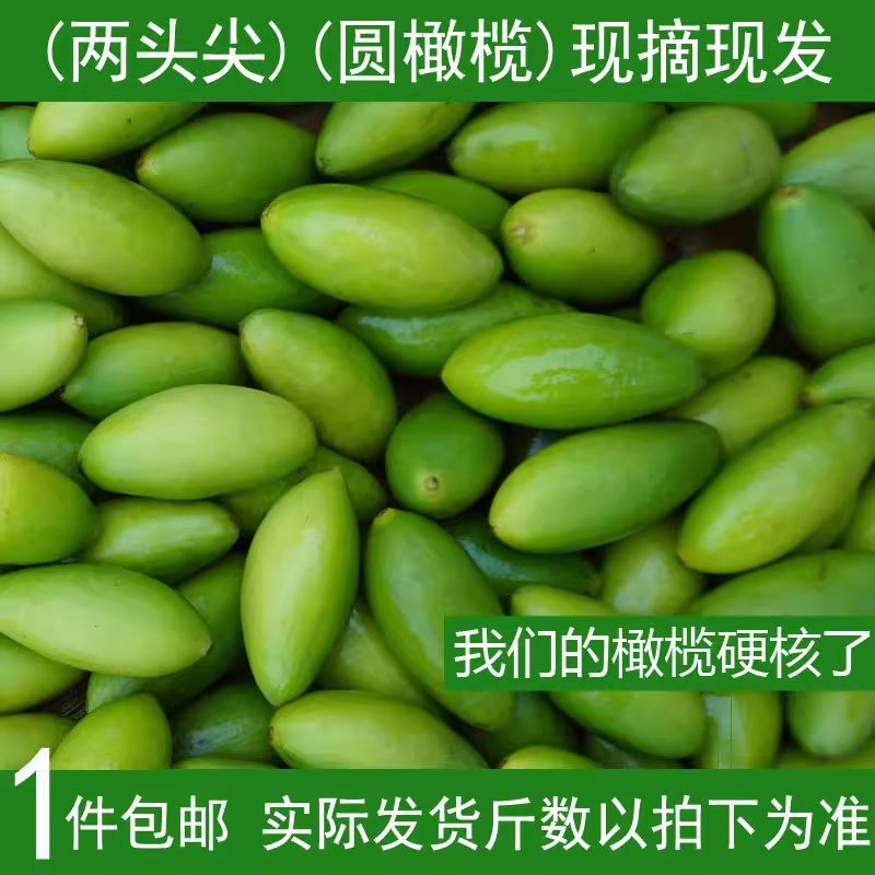一件包邮现摘重庆烨松新鲜青果生青橄榄果干青果孕妇500g