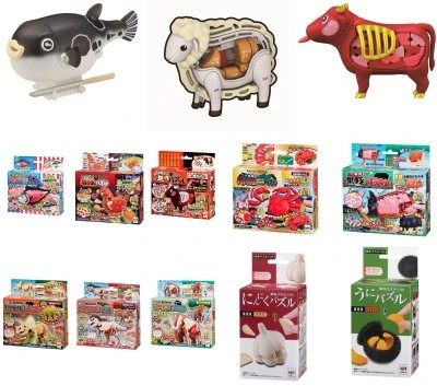 mh3d立体拼图解剖图大蒜海胆