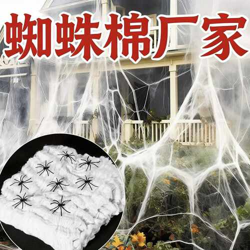 HalloweenSpiderSilkDecorative