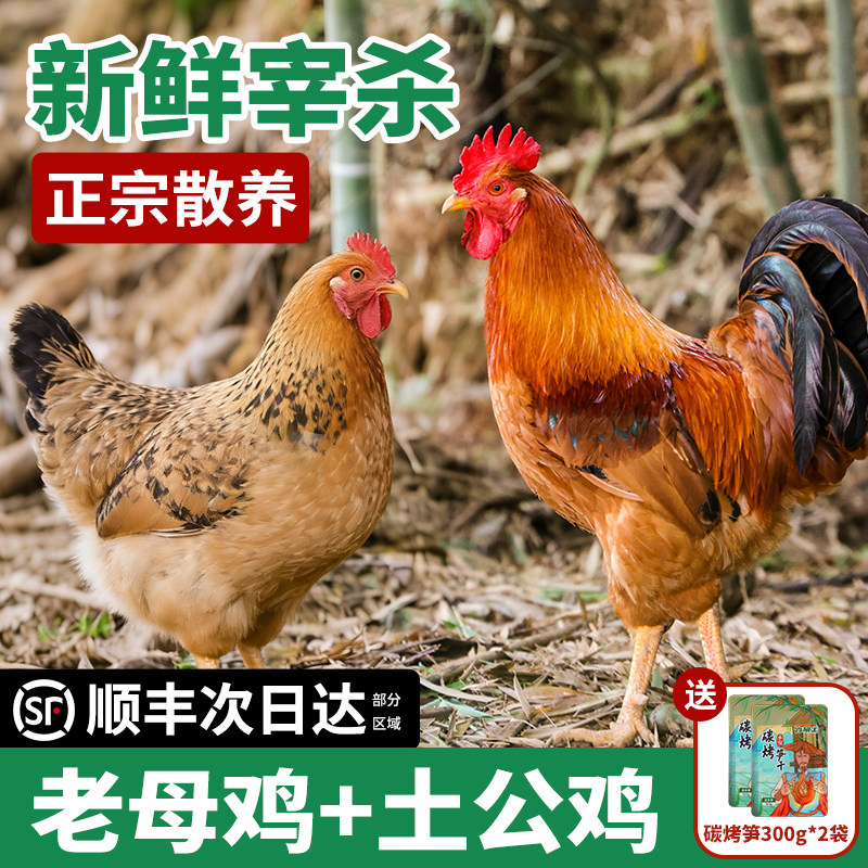 土鸡农家散养走地鸡新鲜现杀老母鸡肉正宗农村纯种散养大公鸡整只,水产肉类/新鲜蔬果/熟食,整鸡/整鸡制品,淘宝优惠券,粉丝福利购,淘宝优惠卷