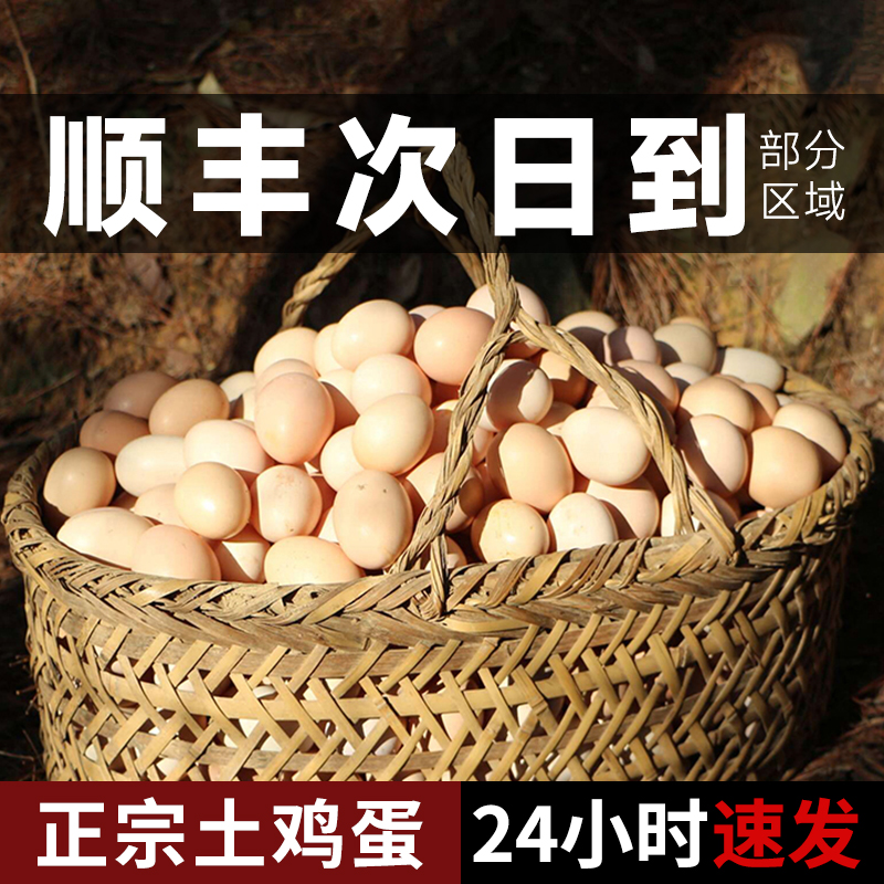 鸡蛋新鲜土鸡蛋正宗农家散养柴鸡蛋笨鸡蛋草鸡蛋40枚整箱批发