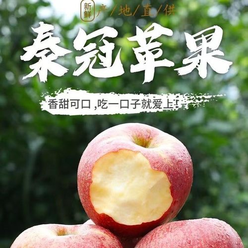 25年陕西白水洛川头茬嘎啦新苹果