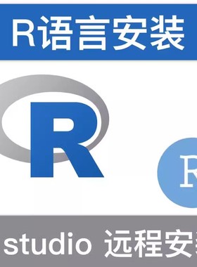R语言Rstudio软件 4.5.2安装包拍一件远程安装服务送教程支持Win