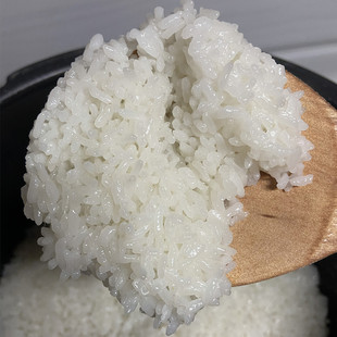 2023新米东北延边大米珍珠米粳米农家胚芽米自产朝鲜族真空5