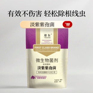 淡紫紫孢菌根结线虫专用药农用果树蔬菜花卉杀根线虫药淡紫拟青霉