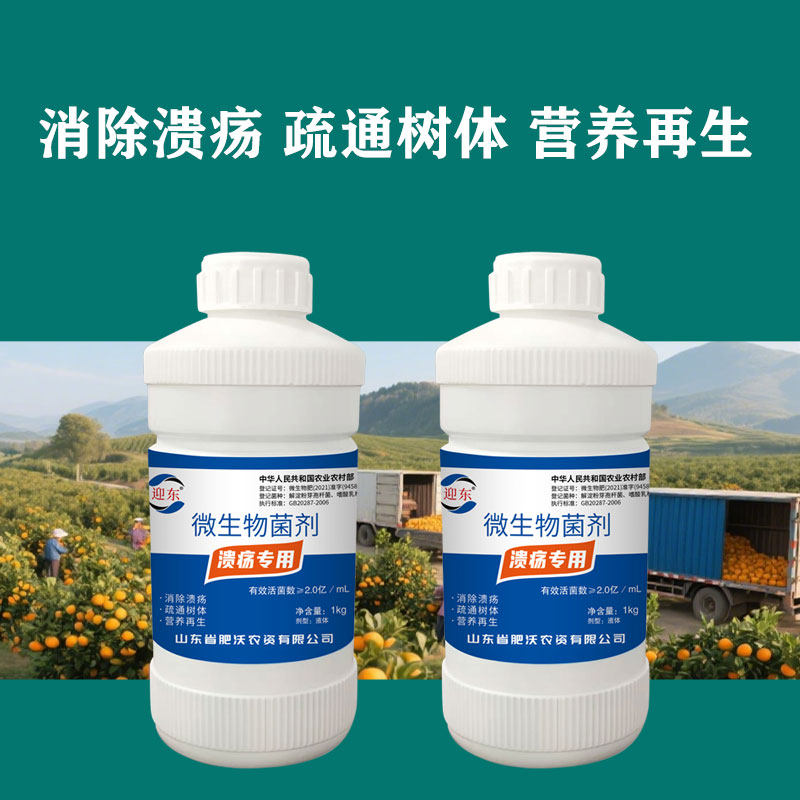 迎东柑橘溃疡病专用击克复合微生物菌剂果园用黄斑病柑桔子溃腐灵
