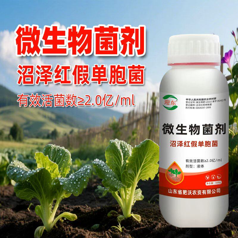 沼泽红假单胞菌光合细菌菌剂农用微生物菌肥蔬菜果树水溶肥叶面肥
