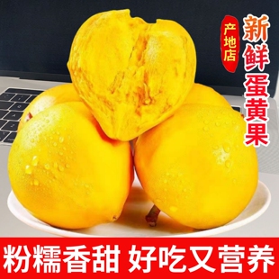 正宗鸡蛋果新鲜海南蛋黄果孕妇应季当季水果云南特产广西大果送礼