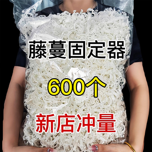 黄瓜西红柿豆角爬藤枝条固定器绿植蔬菜捆绑扎带藤蔓专用园林工具