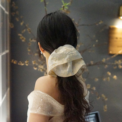 香槟色刺绣玫瑰大号发圈优雅显贵