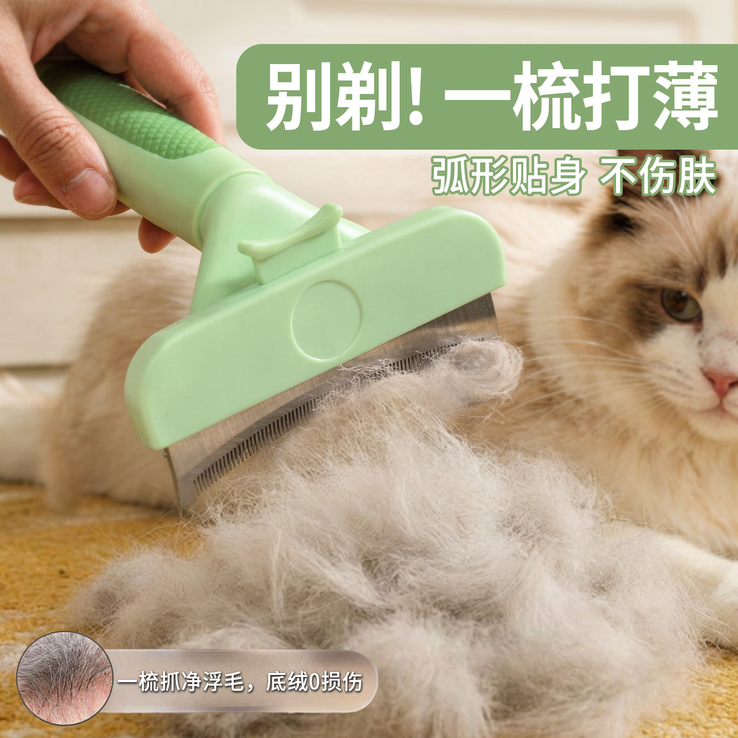 宠物猫咪打薄梳猫梳子专用去浮毛清理神器猫毛去毛打薄器小猫毛梳,宠物/宠物食品及用品,猫狗梳子/排梳,淘宝优惠券,粉丝福利购,淘宝优惠卷