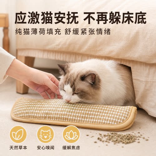 新型猫猫幼猫专用玩具解压质量好的小猫逗猫棒宠物斗猫咪用品大全