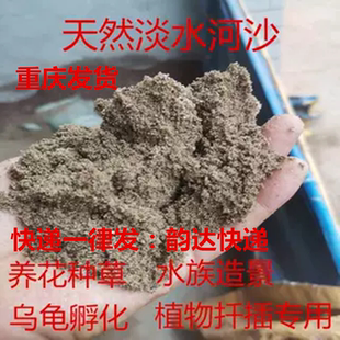 天然河沙细黄沙多肉配土生根沙土鱼缸底沙乌龟冬眠黄沙土水族造景