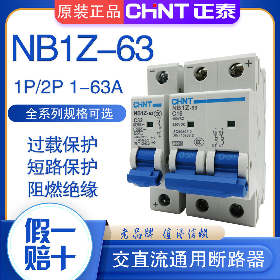 CHNT正泰 交直流断路器NB1Z 1P 2P直流空开DC220V 6A16A20A32A63A - 实物图