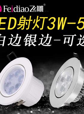 飞雕led客厅过道吊顶天花灯