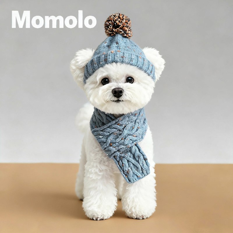 Momolo秋冬宠物狗狗雪纳瑞比熊博美马尔济斯约克夏配饰帽子围巾,宠物/宠物食品及用品,帽子,淘宝优惠券,粉丝福利购,淘宝优惠卷