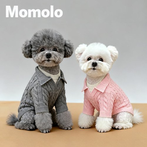 Momolo2025新款宠物狗秋冬季保暖假两件毛衣狗狗衣服比熊泰迪毛衣