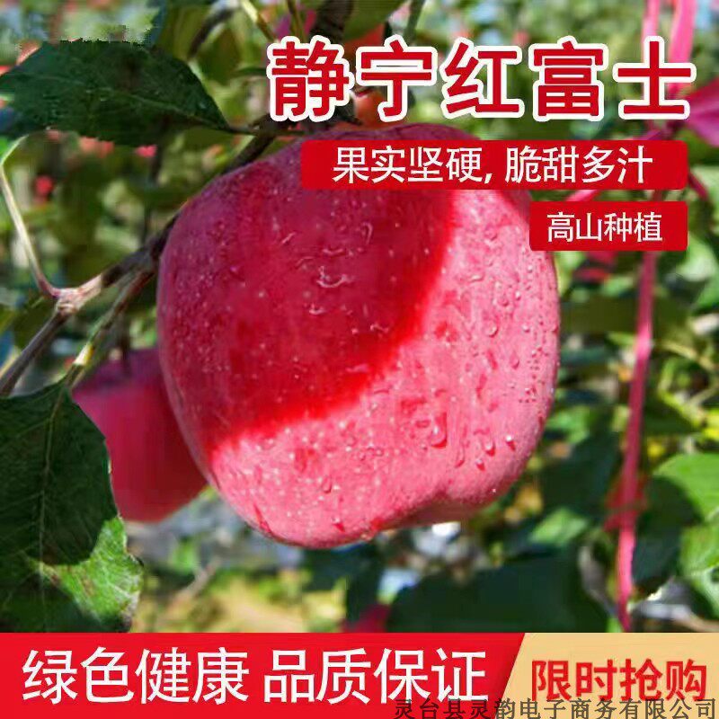 甘肃特产平凉金果静宁红富士苹果新鲜现摘整箱不打蜡带皮吃的水果