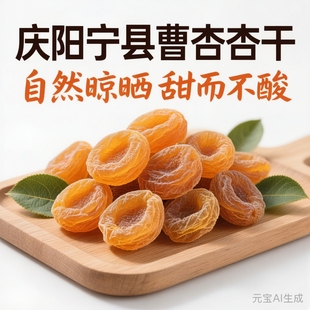 甘肃庆阳宁县地方特产无核曹杏脯皮风干肉自然原味无添加农家偏酸