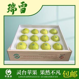 甲果缘甘肃平凉灵台高原特产瑞雪苹果水果绿颜色的新鲜薄皮现当季