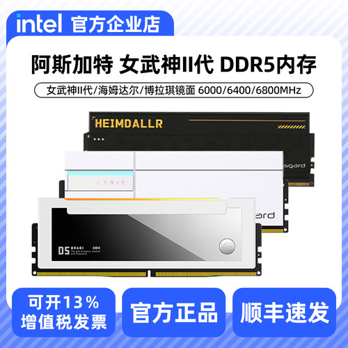 阿斯加特 32G 64G DDR5 女武神二代 5600 6000 6400内存条海拉TUF