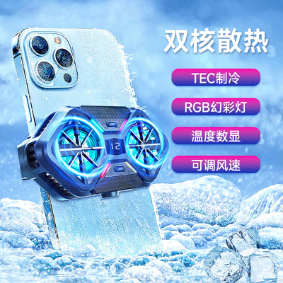 RGB dual core fan cooling silent live streaming back clip