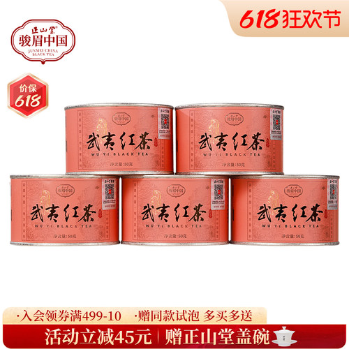 正山堂武夷红茶武夷山小种冷泡茶