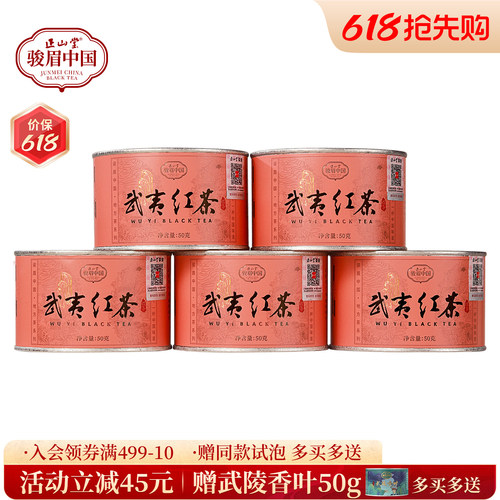 正山堂武夷红茶武夷山小种冷泡茶