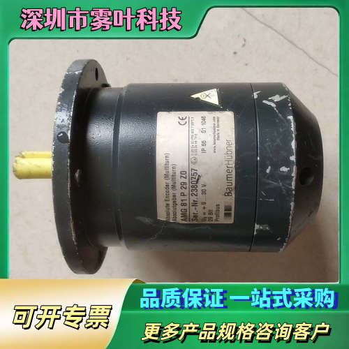 baumer AMG 81 P29 Z0【议价】