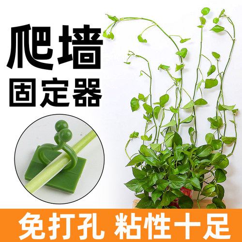 爬墙绿植固定器挂钩套装
