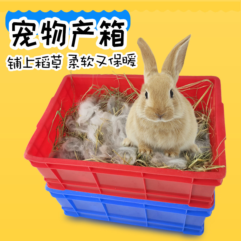 兔仔宠物兔繁殖用品小动物母兔垂耳兔笼子兔子保温产仔箱