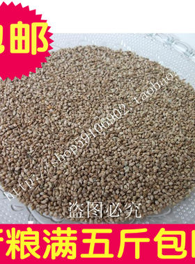 杂粮草种子虎皮牡丹鹦鹉芙蓉鸟食