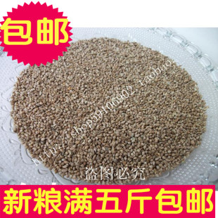 稗子 草籽 草种子 虎皮牡丹鹦鹉 芙蓉鸟食  500克 满5斤包邮