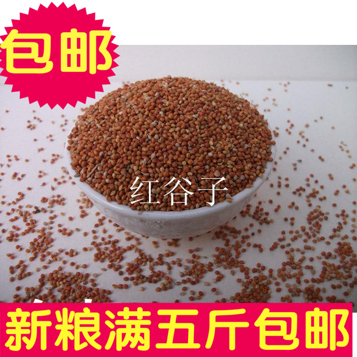 杂粮红谷子红小米虎皮中小型鹦鹉