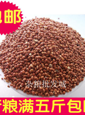 杂粮红黍子带壳一件5斤包邮