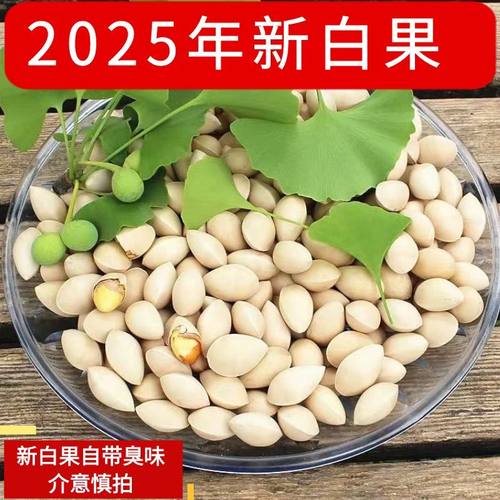 2025年新银杏带壳白果子新鲜生百果仁无漂白本色原味1斤 3斤 5斤