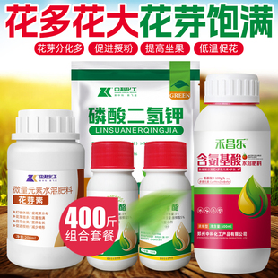 花芽素促花剂催花多饱满花大花芽分化低温打破休眠破眠专用套餐