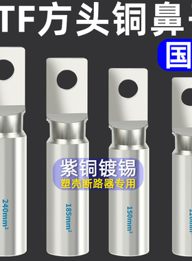 国标铜鼻子紫铜镀锡DTF方头塑壳断路器空开用线鼻子小头接线端子