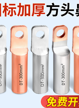 DT铜鼻子方头接线端子DTF国标紫铜镀锡堵油电线电缆DTL铜铝线耳鼻