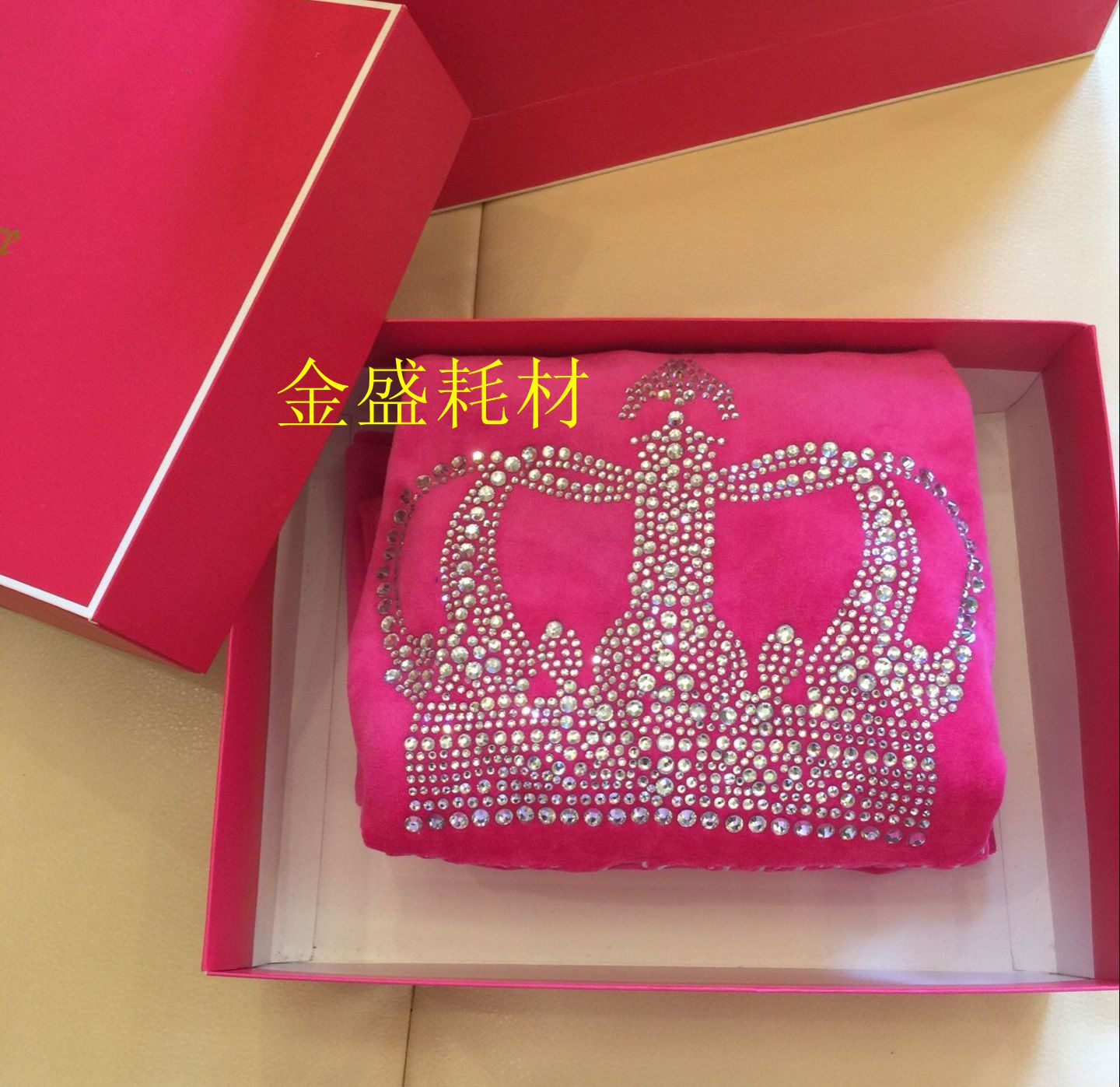 欧美外贸春秋新款童装儿童天鹅绒套装小裤脚运动套装女童