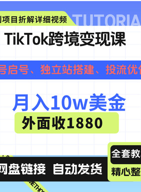 TikTok跨境变现课：账号起号、独立站搭建、投流优化月入10w美金