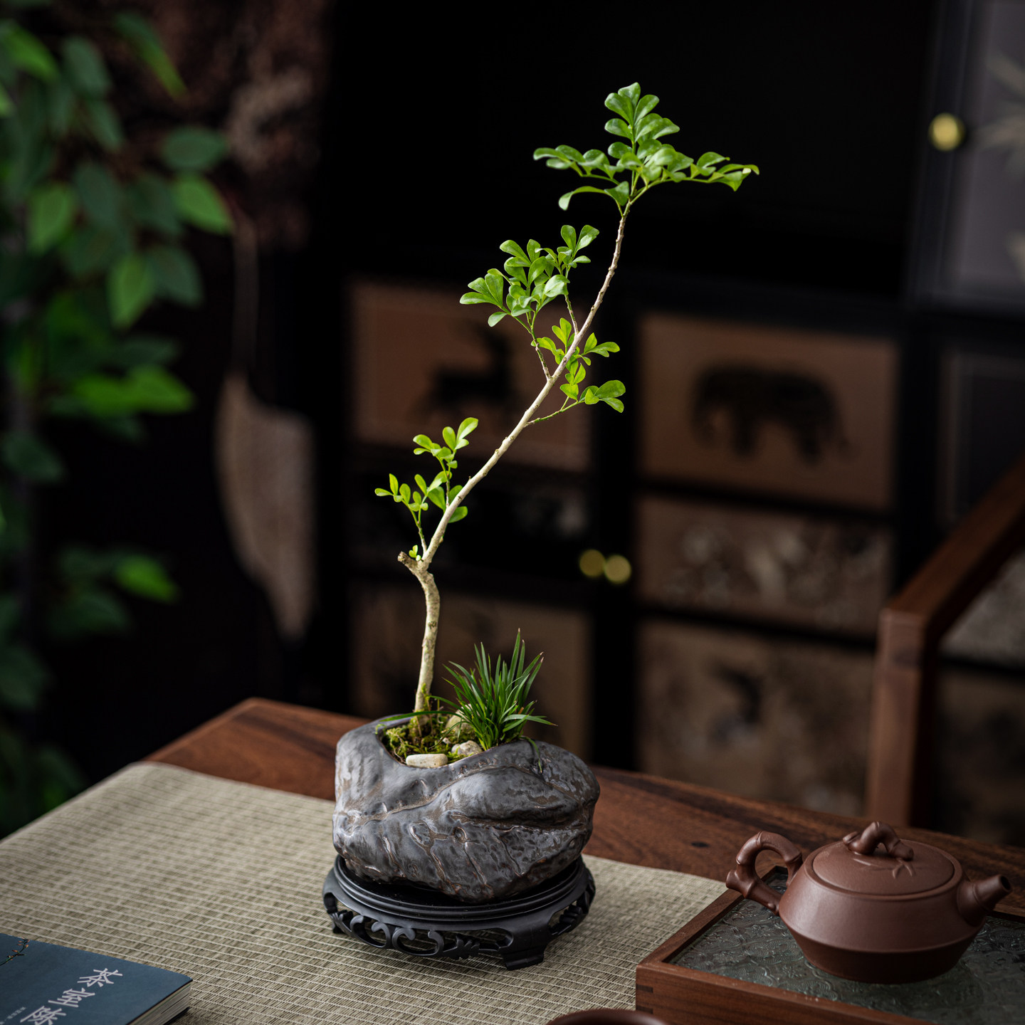 仿古石头花盆中式陶瓷花盆大号异形桌面水培造景铜钱草水仙盆