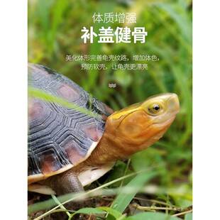 黄缘龟粮黄缘盒龟饲料黄缘闭壳龟半水龟陆龟料安缘台缘乌龟粮